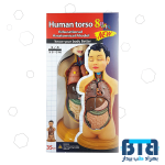 مولاژ نیم تنه انسان مدل عروسکی 1/4 اندازه طبیعی